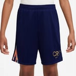 Nike Shorts Nike Cr7 Academy 23 Hf4346-492