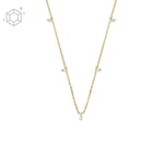 Collier Femme FOSSIL SHINE BRIGHT JA7131710 Laiton d'Or