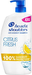 Head & Shoulders Citrus Fresh anti Dandruff Shampoo for Greasy Hair, 1000ML