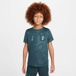 Tottenham Trenings T-skjorte Dri-fit Academy Pro Pre Match 3. - Faded Spruce/enamel Green Barn - Nike, størrelse L: 147-158 cm