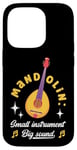 Coque pour iPhone 14 Pro Mandoline Petit Instrument Grand Son Mandoline Joueur Musicien