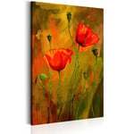 Billede - The Awakening of Poppy - 20 x 30 cm - På italiensk lærred