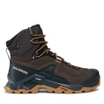 Trekking-skor Salomon Quest Element GORE-TEX L47216100 Brun