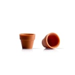 Dobla Orange coloured white chocolate mini flowerpot - 24 pieces