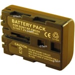 Batterie pour SONY DSLR-A100 - Garantie 1 an