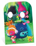 Trolls Poppy and Branch Child Size Cardboard Cutout Stand-In DreamWorks photos