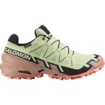 Salomon Speedcross 6 GTX Women Lime Cream/Mahogany Rose/Black UK9/EU 43 1/3 - Fri frakt