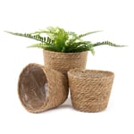 Handwoven Seagrass Flower Plant Pots - Set of 3