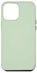 Coque pour iPhone 15 Plus Couleur vert sauge clair