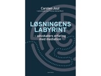 Løsningens Labyrint | Carsten Juul Og Thomas Samsø Bloch | Språk: Dansk