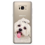 Samsung Galaxy S8 Fashion Skal - Bichon Frisé