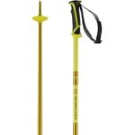 Salomon Arctic Unisex Poles Ski Hiking 130cm