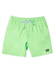 Quiksilver Garçon Everyday Solid Volley YTH 14 Maillot De Bain, Green Gecko, 16 Ans EU