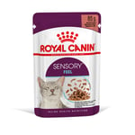 Royal Canin Sensory Feel i saus - 24 x 85 g