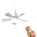 Ranipobo - Ventilateurs de plafond avec lumières et télécommande, ventilateur de plafond dimmable, 5 lames, 3 température de couleur, 3 vitesses,