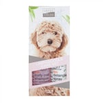 Greenfields - Labradoodle Care Set 2x250ml - (WA4674)