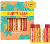 Burt's Bees Just Picked Lip Balm Gift Set