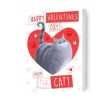 Valentine's Day Card From The Cat The Secret Life Of Pets