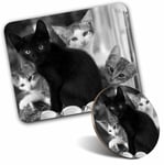 Mouse Mat & Coaster Set - BW - Cute Kittens Black Tabby Ginger Cat  #43908