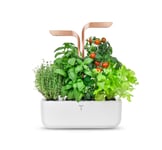 Véritable® Garden SMART (Vit/Koppar m. 4 rum)