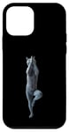 Coque pour iPhone 12 mini Bleu russe