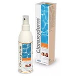 I.C.F. Clorexyderm solution disinfectant spray 200 ml