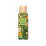 VICTORIA S SECRET Melon Drench - Body Mist 250 ml Spray