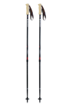 Mountainsmith Andesite  Carbon Trekking Poles