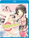 Nakaimo  My Little Sister Is Among Them Bluray