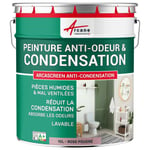 Peinture anti condensation anti odeur moisissure Rose poudré RAL 010 70 15 10 L