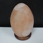 Oval Egg Shaped Natural Himalayan Salt Lamp - Pink Rock Crystal Light