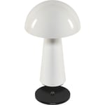 Century - Lampe de table led coco blanc 1,5W 2700K 100 Lumen dim. IP44