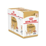 Royal Canin Chihuahua koirille, 12x85 g