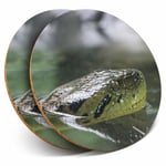 2 x Coasters - Green Anaconda Snake Home Gift #21648