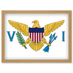 Virgin Islands (U.S.) National Flag Vexillology World Flags Country Region Poster Artwork Framed Wall Art Print A4