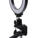 New 6.2in Dimmable LED Ring Light Photography Fill Light With Tripods And Mobile