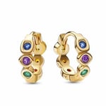 Pandora Marvel x Pandora Infinity Stones Hoop Earrings örhängen 262567C01