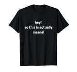 Hey So This Is Actually Insane Funny T-Shirt