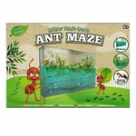 Ant Maze / Worm World