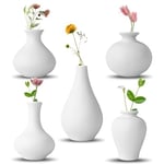 QUTHZZHY Petits Vases en Céramique Blanche Lot de 5, Vase à Fleurs Blanc Vase Céramique Moderne décoration pour Maison Salon Fête Bureau(Blanc)