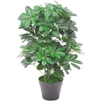 Leaf Arbre Parapluie Artificiel Schefflera Arboricola avec Pot en Plastique Noir 55 cm, Buisson Foncé de 55 cm., 55cm Dark Bush