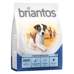 Briantos Junior Young & Fit Ekonomipack: 4 x 1 kg