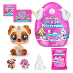 Rainbocorns (Bundle ) RAINBOCORNS- POCKET PUPPYCORN SURPRISE-SERIES 1 Bobble Head pk. - (9285)