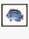 Brookpace Lascelles 'Blue Fish 2' Framed Print & Mount, 36 x 46cm, Blue