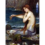 Wee Blue Coo John William Waterhouse Mermaid Old Master Painting Wall Art Print Mur Décor 30 x 41 cm