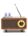 COLSUR Retro Radio, Portable Bluetooth Speaker with FM Vintage Radio, Small Radios Mains and 1500mAh Battery, Support TF Card/AUX/USB, MP3 Player, 5W Speaker, Bluetooth 5.0