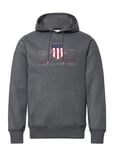 Reg Archive Shield Hoodie Tops Sweat-shirts & Hoodies Hoodies Grey GANT