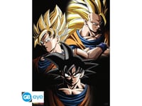 Poster - Dragon Ball - Transformations Goku - 52 x 38 cm - GB eye