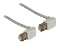 Delock - Patch-Kabel - Rj-45 (Hane) Till Rj-45 (Hane) - 1 M - Sstp (Screened Shielded Twisted Pair) - Cat 6 - 90° Kontakt, Formpressad - Grå