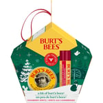 Burt's Bees for Lip & Hand, Cranberry Spritz Lip Balm and Hand Salve in a Fes...